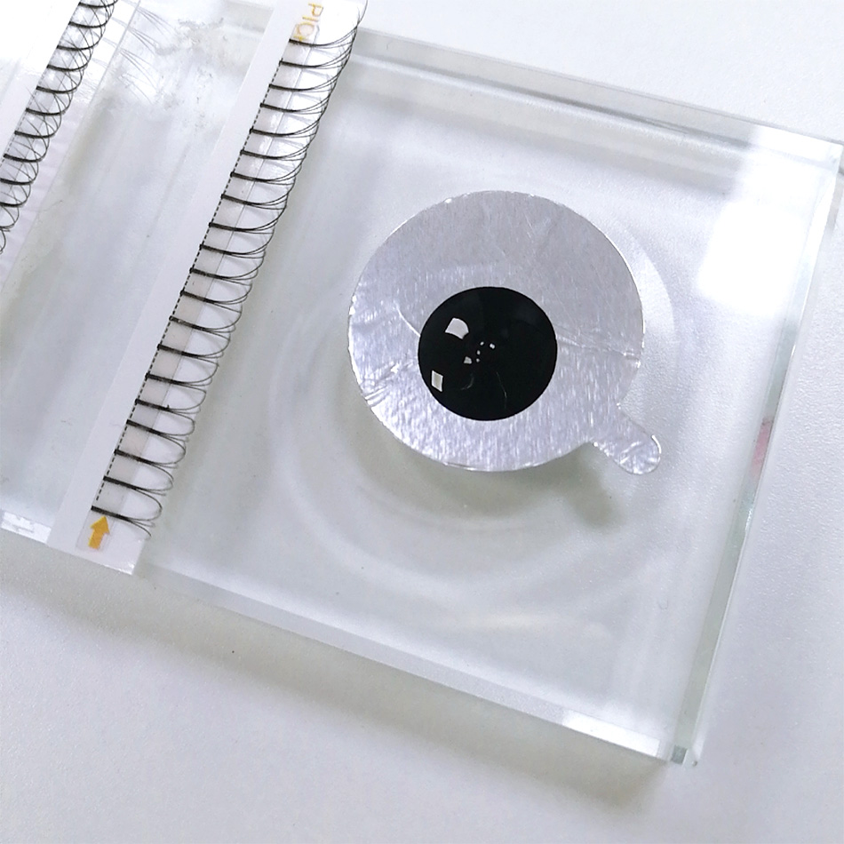 300Pcs/pack Disposable Waterpr - Lash Mapping Sticker avaliação e preço