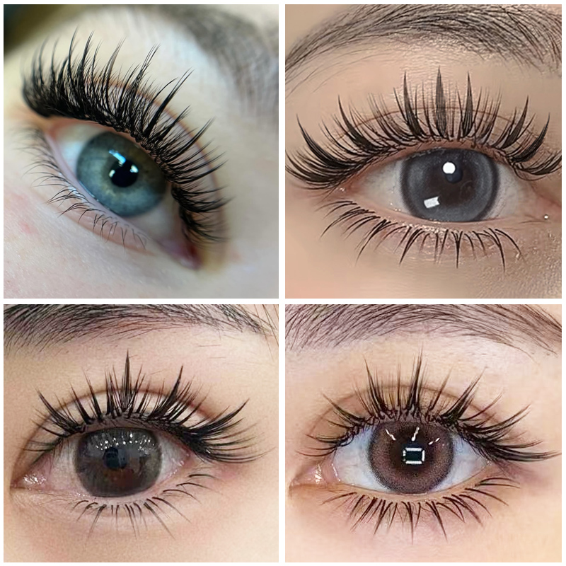 Befer Beauty Bulk Items Wholes - Eyelash Extension Anime Style avaliação e preço